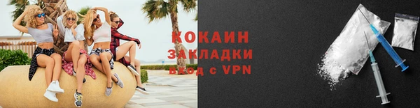 шишки Нея