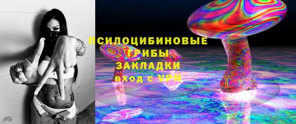 шишки Нея