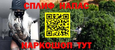 мдпв Моздок