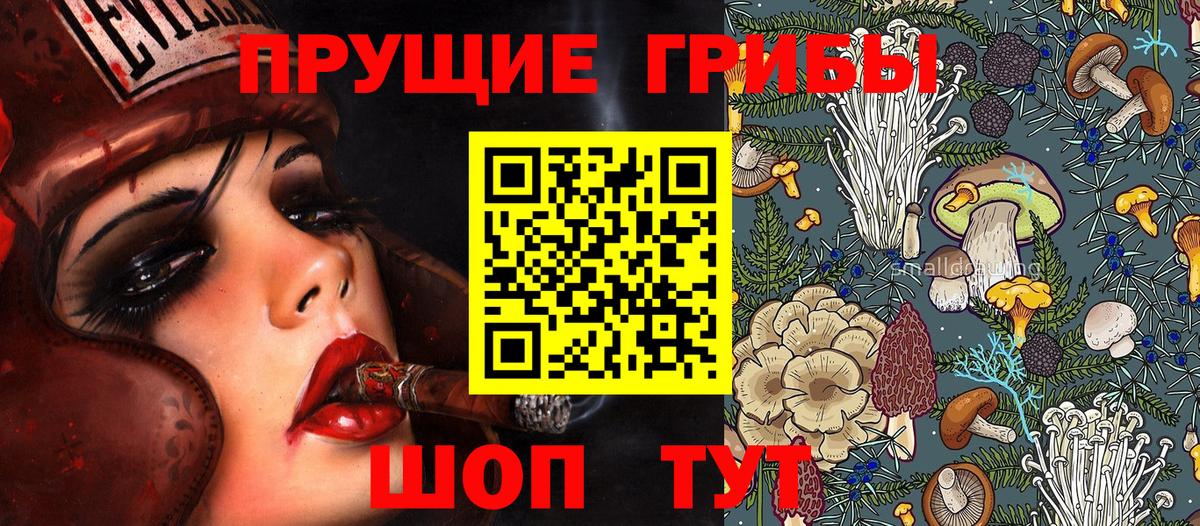 Псилоцибиновые грибы ЛСД Сосновый Бор