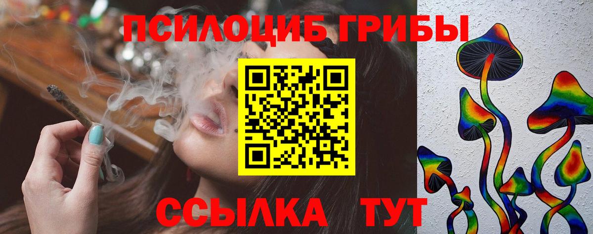 Псилоцибиновые грибы прущие грибы Сосновый Бор