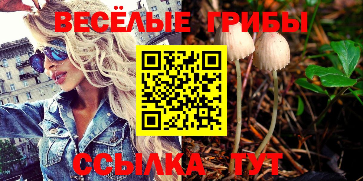 Галлюциногенные грибы MAGIC MUSHROOMS  Вход с VPN  Сосновый Бор 