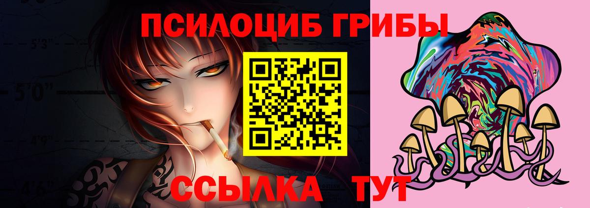 Галлюциногенные грибы мицелий  наркошоп  Сосновый Бор 