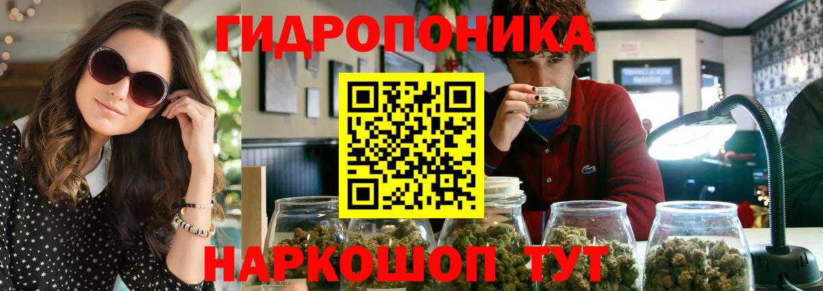 Марихуана SATIVA & INDICA  Сосновый Бор  Бошки марихуана Ganja 